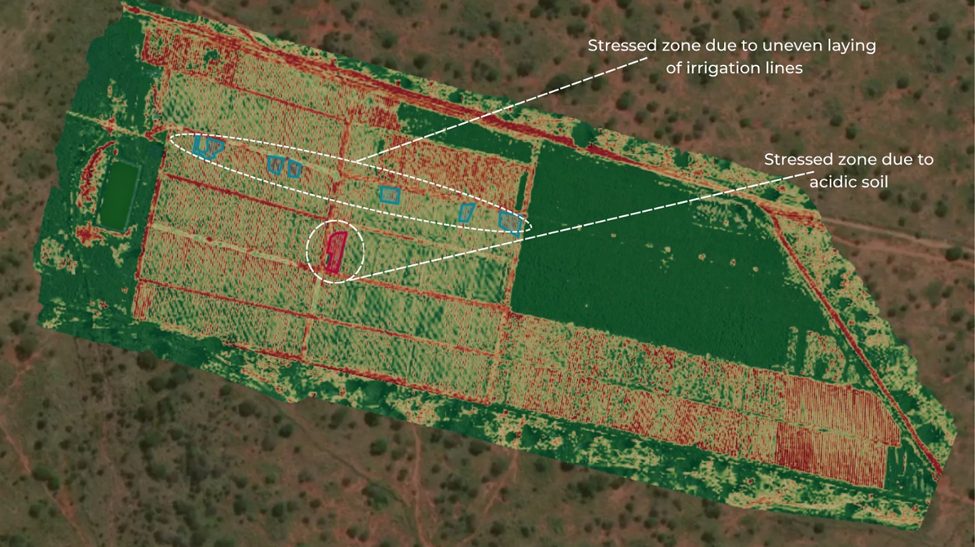 Annotated field showing marked areas of crop stress